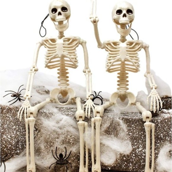 2 Packs 16" Posable Halloween Skeletons, Full Body Posable Joints Skeletons - Picture 7 of 8